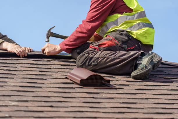 Best Roof Gutter Cleaning  in Trezevant, TN