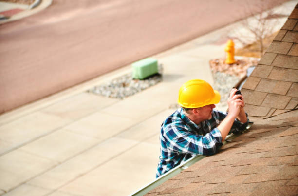 Best Roof Repair Services  in Trezevant, TN