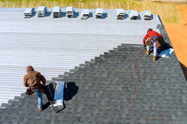 Best New Roof Installation  in Trezevant, TN