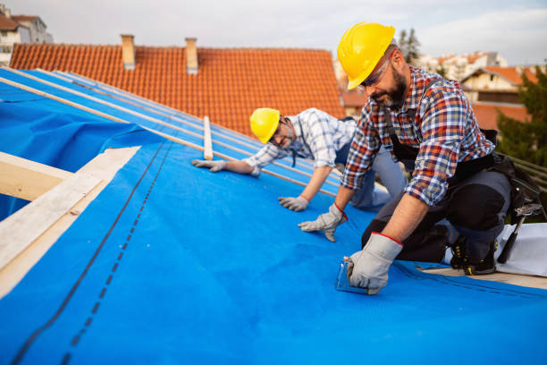 Best Commercial Roofing Services  in Trezevant, TN