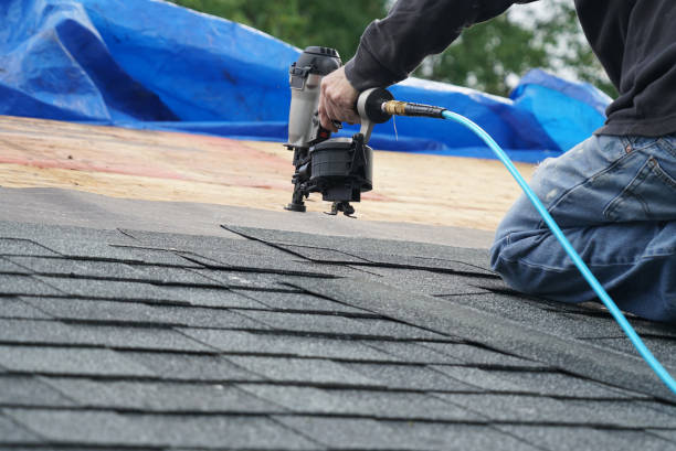 Best Roof Repair Specialists  in Trezevant, TN