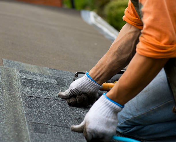 Best Affordable Roof Replacement  in Trezevant, TN