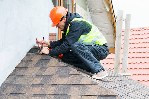 Best Shingle Roofing Installation  in Trezevant, TN