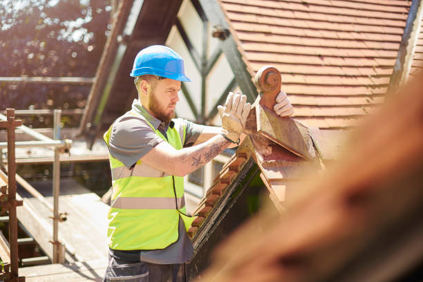Best Best Roofing Contractors  in Trezevant, TN