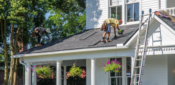 Best Local Roofing Companies  in Trezevant, TN