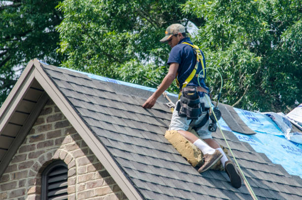Best Roofing Contractor Near Me  in Trezevant, TN